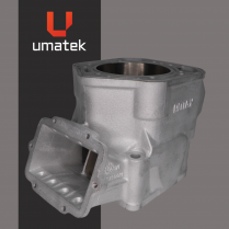 CYLINDRE (REPLAQU&Eacute;) - BRP MXZ 800 01-02