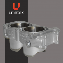 MONOBLOC -   POLARIS RZR 900 2011-2014   OEM 3022278