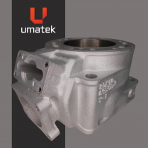 BLOC CYLINDRE (REPLAQUE) - YAMAHA SRX 700 MOULAGE #8DN10