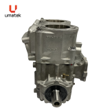 SHORTBLOCK - POL 600 3022206  5631970-05 / 5631800 INJ OPEN