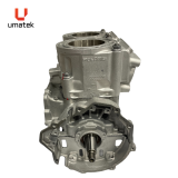 SHORTBLOCK - POL 600 3022206  5631970-05 / 5631800 INJ OPEN