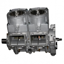 MOTEUR R&Eacute;USIN&Eacute; POL  700CC 07-08 ( CYL. 3021767)