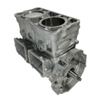 MOTEUR R&Eacute;USIN&Eacute; POL 800 2010 #CYL3022201  5631801 / 5631800