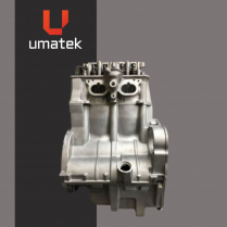 MOTEUR R&Eacute;USIN&Eacute; POL. VTT 850  09-11