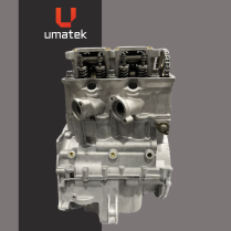 MOTEUR R&Eacute;USIN&Eacute; POL. VTT 850 12-16