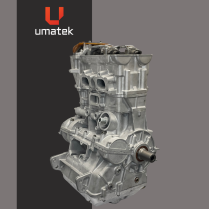 MOTEUR R&Eacute;USIN&Eacute; RNG 1000 2017-18