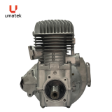 SHORT BLOCK - BR250 #8R4 ALL