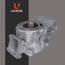 CYL KAWASAKI KX100 2014-2021