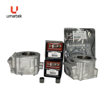 TOP REPAIR KIT - POLARIS 2 CYLINDERS 600 HO IQ 2007-11