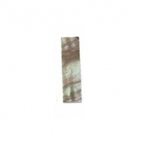 Violin Slide, Goldfish, Fancy, Unlined