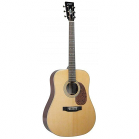 Acoustic Guitar, Solid Top, Mahogany Bac