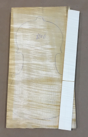 Violin Back with Sides, Maple 1-piece