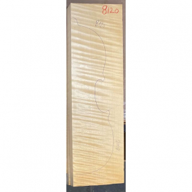 Violin Back with Sides, Maple. Master Grade