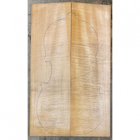 Cello Back with Sides, Maple