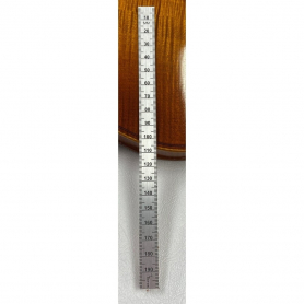 Ultra Flexible Plastic Rule 200mm with Cork Backing, Triton