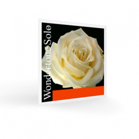 Wondertone Solo Violin E Strings