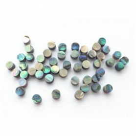 Abalone Eye, Select Size