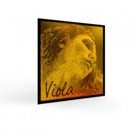 Evah Pirazzi Gold VIOLA Strings