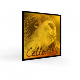 Evah Pirazzi Gold Cello Strings