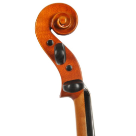 Strunal Josef Jan Dvorak Fractional Size Violins,  3/4-1/8 only, Choose size from Drop-down Box Below