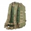 Small BackPack/Green wTanTrm
