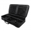 Discreet Carbine Case