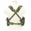 Vest/Ak Chest Rig/WodCam