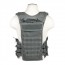 Vest/AR Chest Rig/UGry