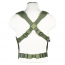 Vest/AR&Pistol Chest Rig/Grn