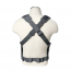Vest/AR&Pistol Chest Rig/UGry