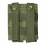 Pstl Dbl Mag Pch/Grn