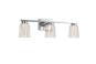 DALTON LED 3-LIGHT BATHROOM VANITY (3CCT)