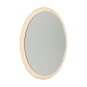 REFLECTIONS LED MIRROR (3CCT)