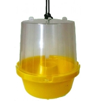 IPS LIQUIBAITOR TRAP, 25/CS