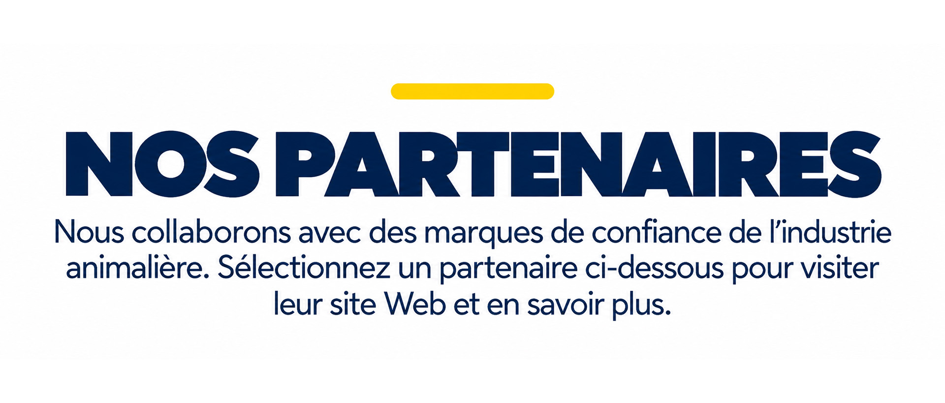 Our Partners FR