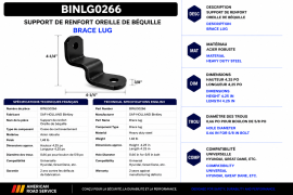 BINLEY EAR BRACE