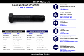 BINKLEY TORQ ARM BOLT