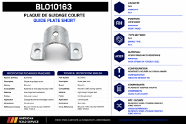 BLOXWICH GUIDE PLATE SHORT HYUNDAI CIMC