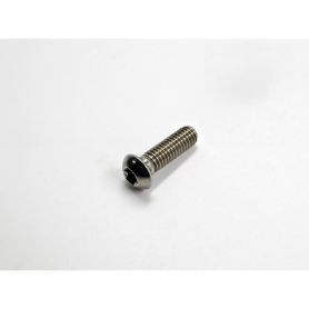 CROSSMEMBER BOLT TORX STAINLESS STEEL  3/8" X 1-1/8"
