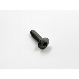 TORX TRUSS HEAD BOLT 3/8" X 1.5"