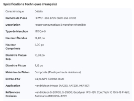 BALLON DE SUSPENSION