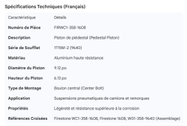 AIR SPRING PISTON