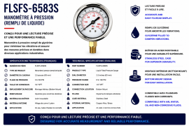 AIR GAUGE LIQUID FILLED 2.5" 160PSI 1/4NPT BOTTOM