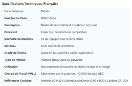 LOOP ATTACHING CHAIN LINK