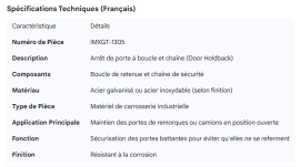 DOOR HOLDBACK LOOP & CHAIN