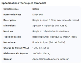 E STRAP 2" X 16' RATCHET BUCKLE W/SPRING FITTING