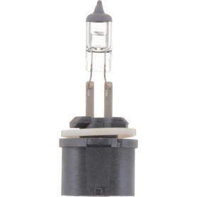 HALOGEN BULB 893