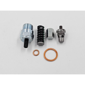 MAXON VALVE RELIEF GREEN SPRING VM