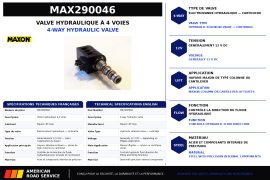 MAXON 4 WAY VALVE