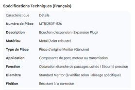 MERITOR EXPANSION PLUG METAL